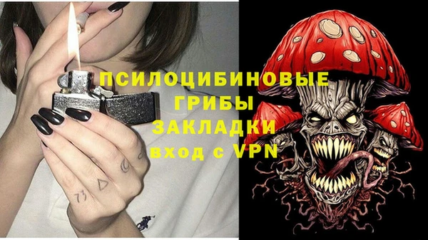 эйфоретик Костерёво