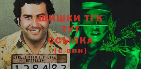 стаф Коряжма