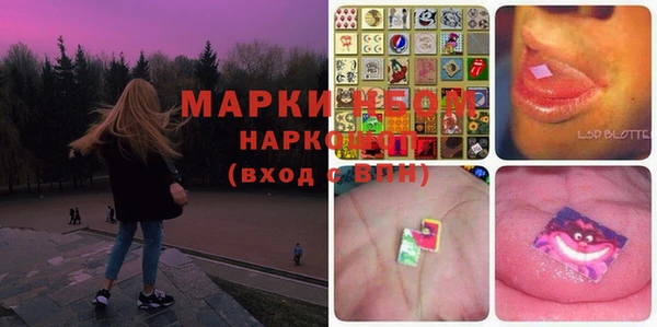 стаф Коряжма