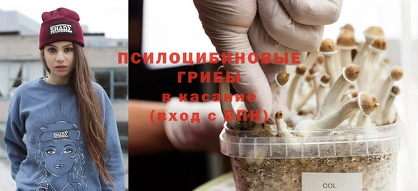 метадон Краснослободск