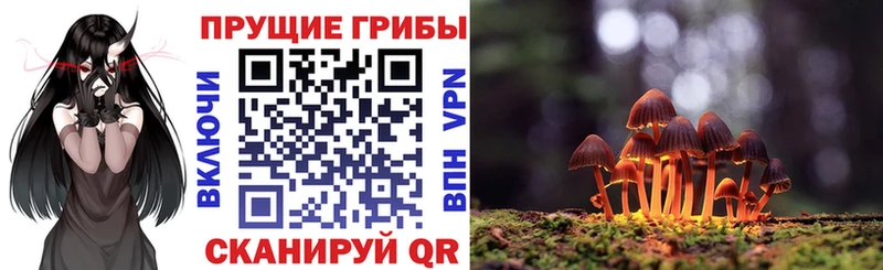 дарнет шоп  МЕГА ССЫЛКА  Галлюциногенные грибы мухоморы  Шали 