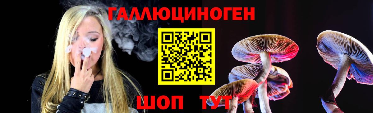 Галлюциногенные грибы GOLDEN TEACHER Шали